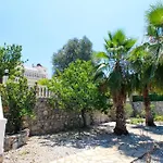 Tekce Yesiluezuemlue No 17