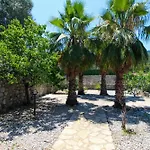 Tekce Yesiluezuemlue No 17 * Uzumlu (Aegean)