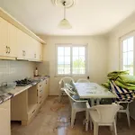 Tekce Yesiluezuemlue No 17 * Uzumlu (Aegean)