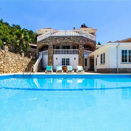 Tekce Yesiluzumlu N17