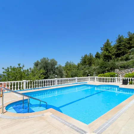 Tekce Yesiluzumlu N17 *