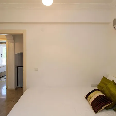 Tekce Yesiluzumlu N17