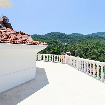 Tekce Yesiluzumlu N17 *