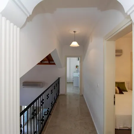 Tekce Yesiluzumlu N17 *