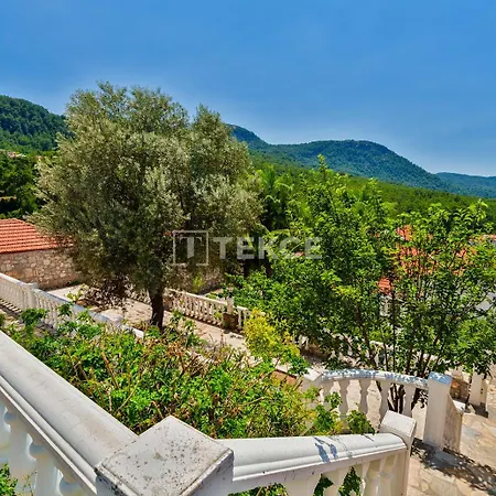Tekce Yesiluezuemlue No 17 Uzumlu (Aegean)